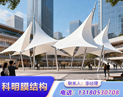天津景观膜结构